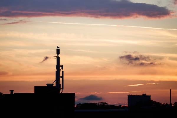 Sunset Silhouettes, no. 1